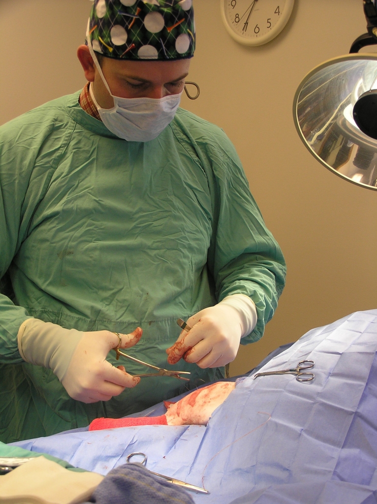 American Veterinary Hospital Yreka Veterinarian / Surgery